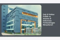 Gaji di Sektor Publik vs Swasta di Indonesia: Perbandingan Menyeluruh
