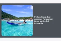 Perbandingan Gaji Akuntan: Perusahaan Besar vs Kecil di Indonesia