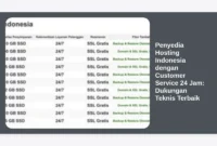 Penyedia Hosting Indonesia dengan Customer Service 24 Jam: Dukungan Teknis Terbaik