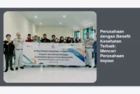 Perusahaan dengan Benefit Kesehatan Terbaik: Mencari Perusahaan Impian