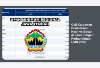 Gaji Karyawan Perusahaan Kecil vs Besar di Jawa Tengah: Perbandingan UMR 2024