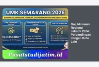 Gaji Minimum Regional Jakarta 2024: Perbandingan dengan Kota Lain
