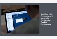 Gaji Rata-rata Programmer di Indonesia: Berdasarkan Tingkat Pengalaman