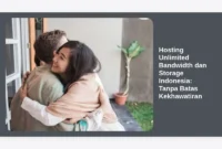 Hosting Unlimited Bandwidth dan Storage Indonesia: Tanpa Batas Kekhawatiran